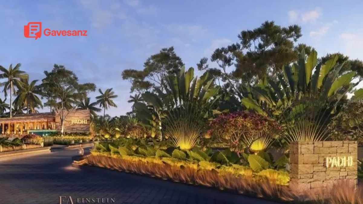 Knives Out - 2025-07-15T235507.420