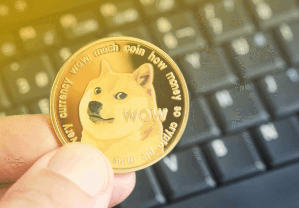 63c9717a17651335fb8012f3_what-is-dogecoin-doge-crypto-how-it-works-future