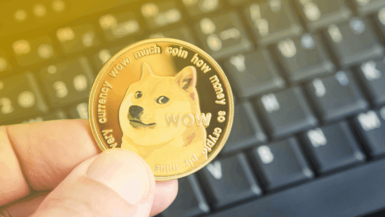 63c9717a17651335fb8012f3_what-is-dogecoin-doge-crypto-how-it-works-future
